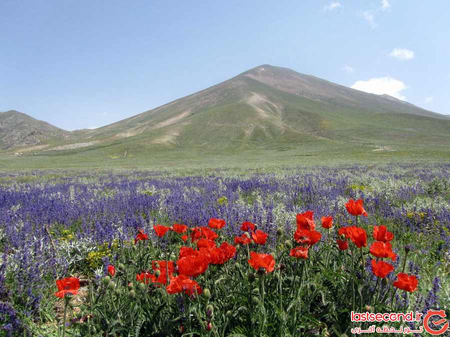 سهند، عروس کوه های ایران    