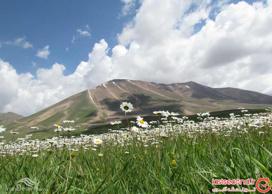  سهند، عروس کوه های ایران    
