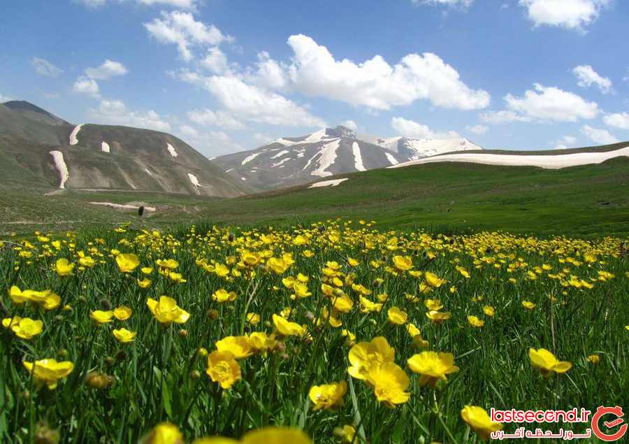  سهند، عروس کوه های ایران    