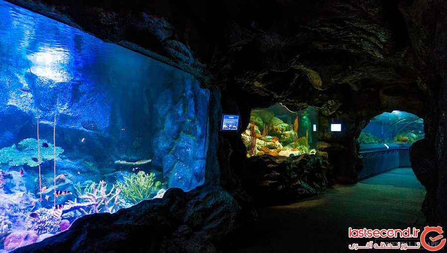 دنیای زیر آب ( Underwater World Pattaya)