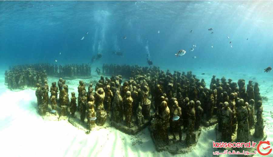 عجایب دنیای زیر آب ‏