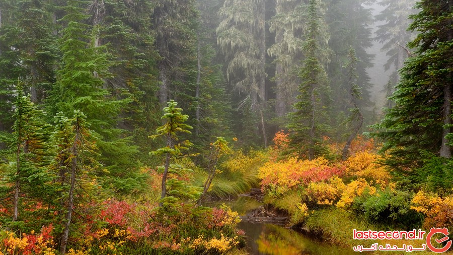 بهترین پارک های ملی برای دیدن رنگ های پائیزی 