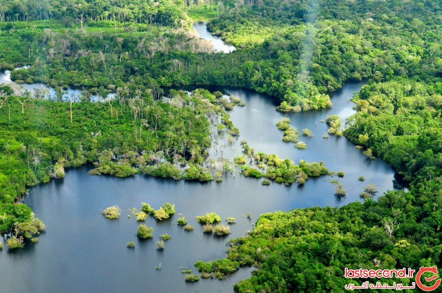 حقایقی درباره ی جنگل های بارانی آمازون 