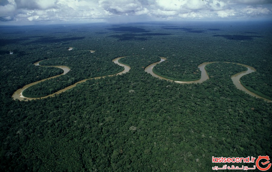 حقایقی درباره ی جنگل های بارانی آمازون 