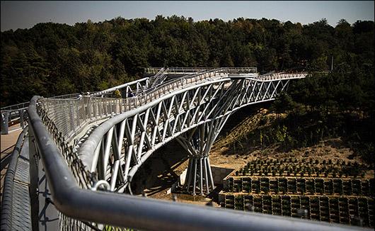  پل طبیعت، نمادی جدید برای پایتخت   