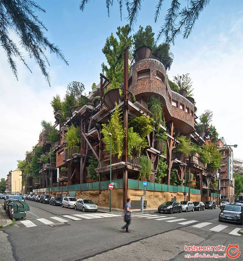 خانه ای ساخته شده از ۱۵۰ درخت 1
