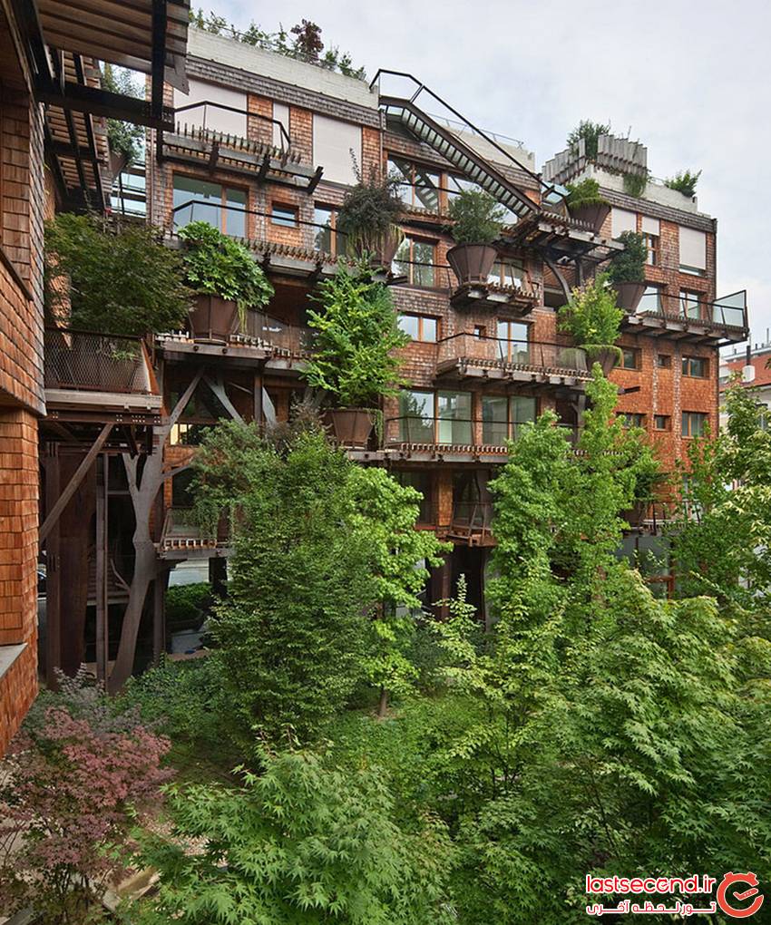   خانه ای ساخته شده از 150 درخت  