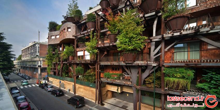   خانه ای ساخته شده از 150 درخت  