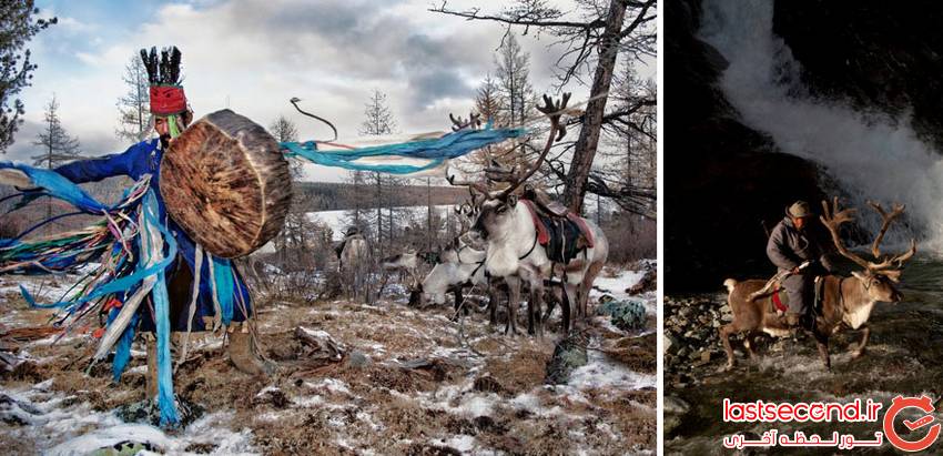  تصاویری زیبا از  زندگی مردم مغولستان با گوزن ها   