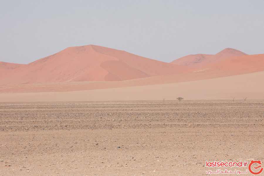 صحرای نامیبیا   