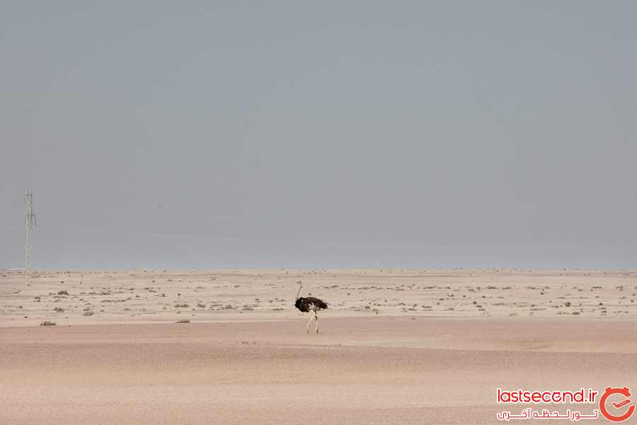 صحرای نامیبیا   