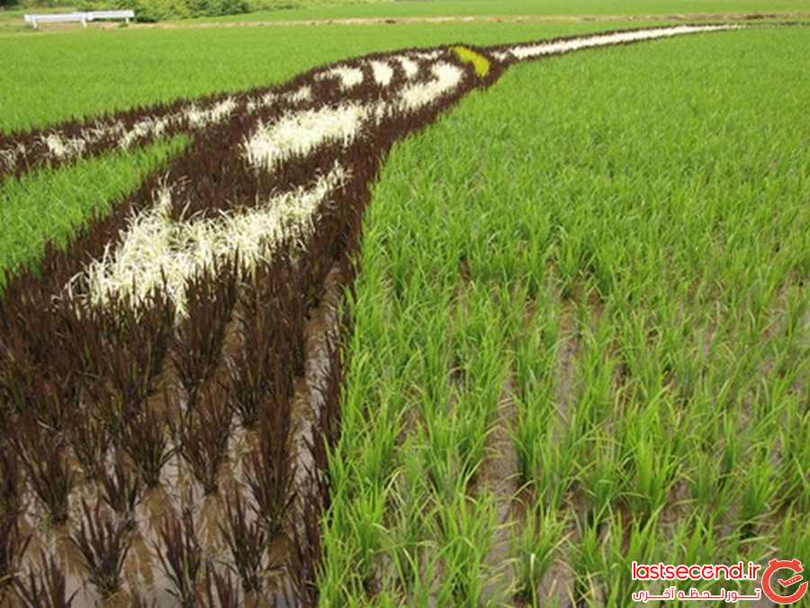 خلاقیت اهالی یک روستای ژاپن برای جذب توریست 