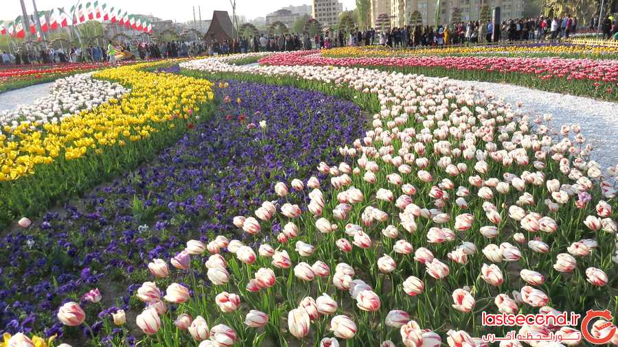  جشنواره گل ارومیه