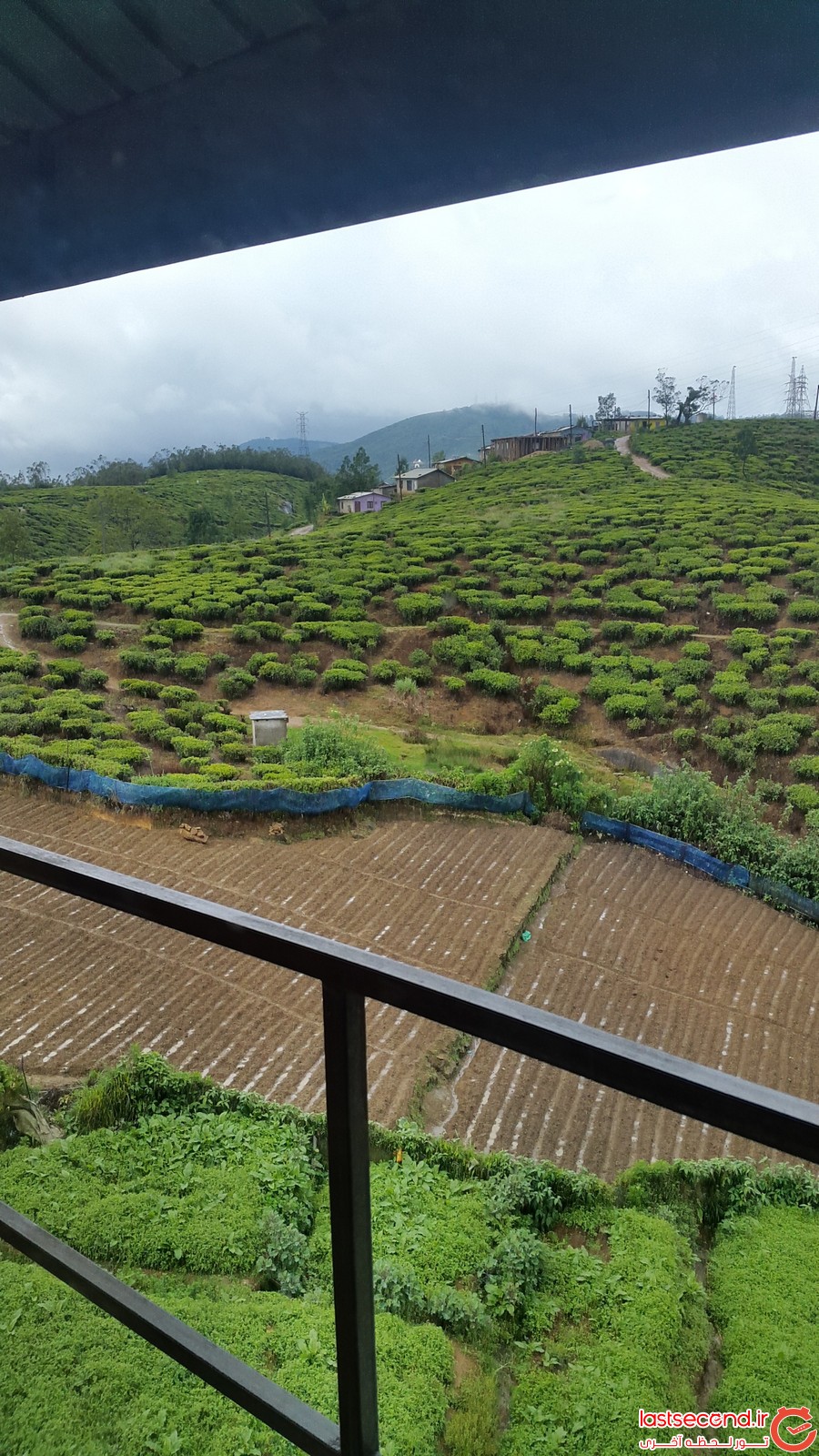 سفر به سرزمین چای و طبیعت (سفرنامه سریلانکا)  