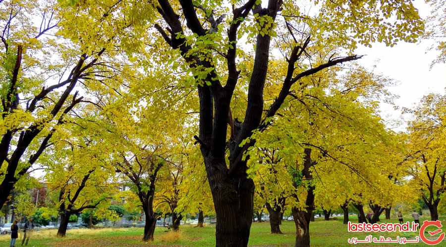 پاییز زیبای ارومیه