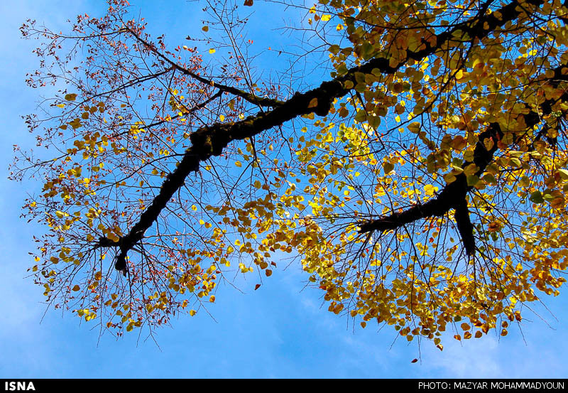  پاییز رویایی آبشار و دریاچه کبودال علی‌آباد کتول - گلستان