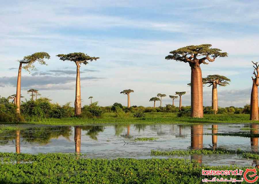 طبیعت زیبا در آفریقا ‏ ‏