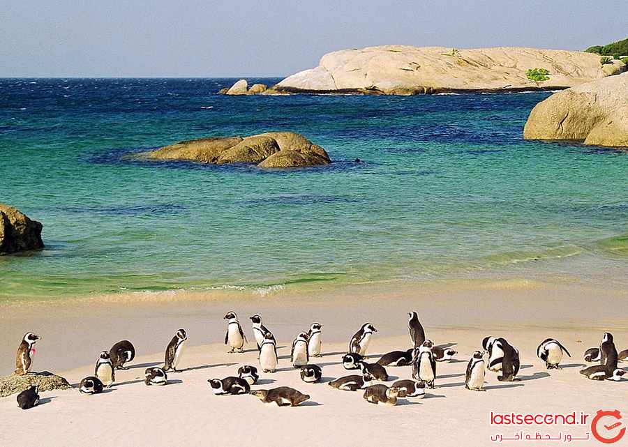 تور آفریقای جنوبی - نوروز 95 