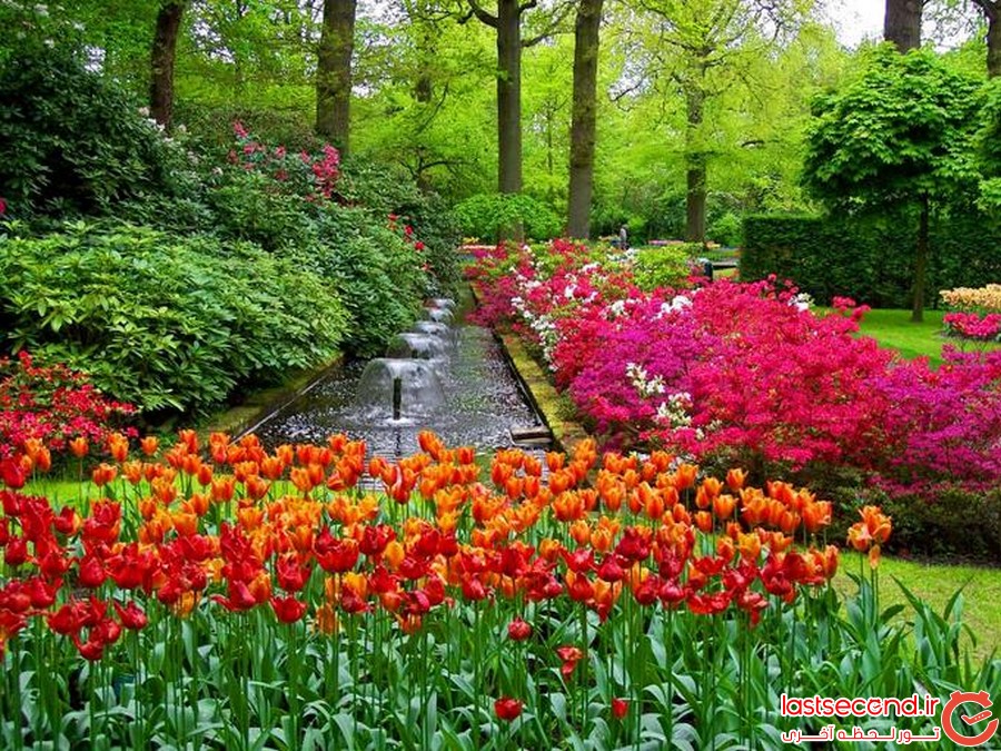 کوکنهوف را ببینید 
