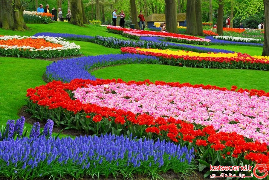 کوکنهوف را ببینید 