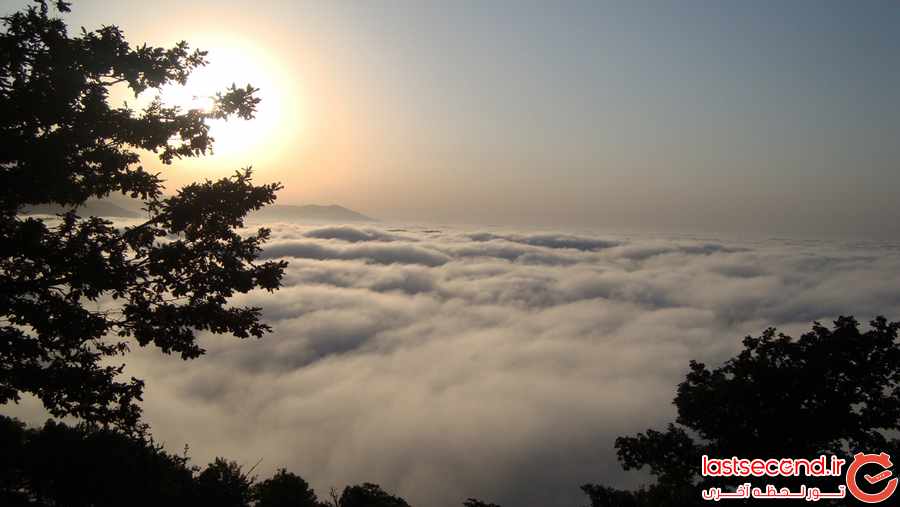 زیباترین جنگل های ابر دنیا 