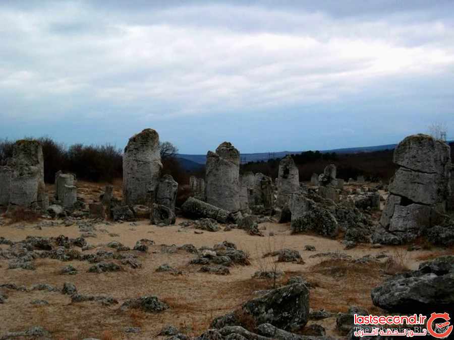 ‏جنگل سنگی ، جاذبه ای طبیعی در بلغارستان ‏‏ ‏ ‏‏ ‏ ‏‏ ‏  ‏ ‏‏ ‏ ‏ 
