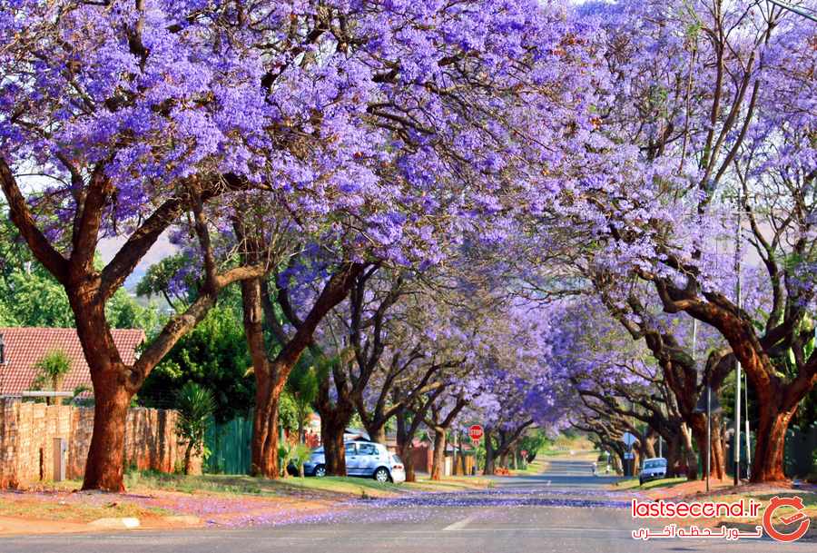‏‏‏ده دلیل زیبا برای بازدید از آفریقای جنوبی ‏
