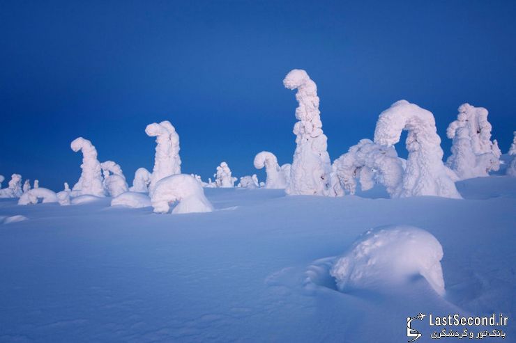  تصاویری از جنگل زادگاه بابانوئل در فنلاند   