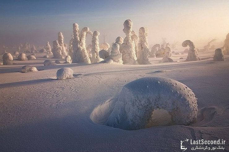  تصاویری از جنگل زادگاه بابانوئل در فنلاند   