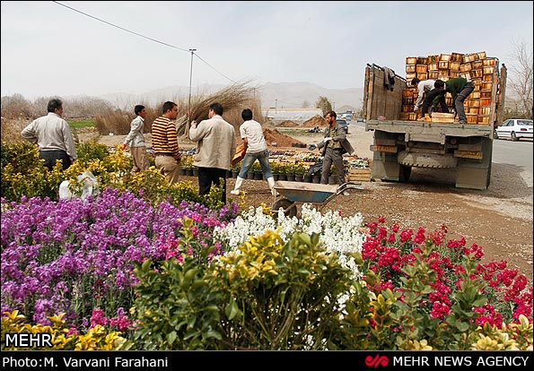  محلات، شهر گل ایران   