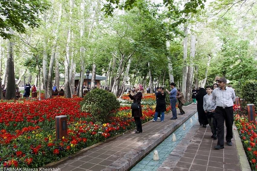 فرصت دیدن لاله ها در باغ ایرانی را از دست ندهید   