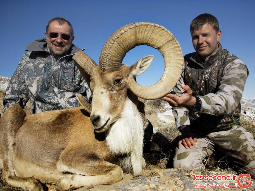   اطلاعیه تور ویژه آژانس های اروپایی برای شکار در ایران + تصاویر  