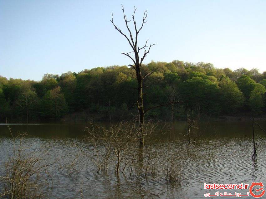  سقالکسار، دریاچه تمیز و زیبای گیلان را ببینید   
