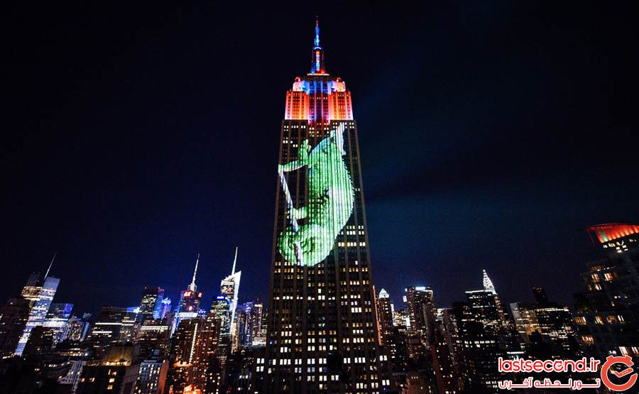  نورپردازی ساختمان امپایر استیت نیویورک به یاد سیسیل و حیوانات رو به انقراض  