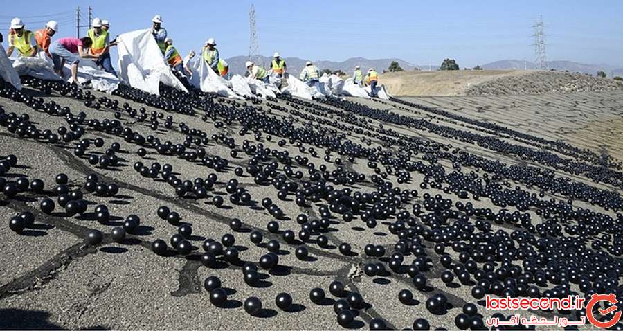  نبرد با خشکسالی با توپ های مشکی رنگ در لس آنجلس  