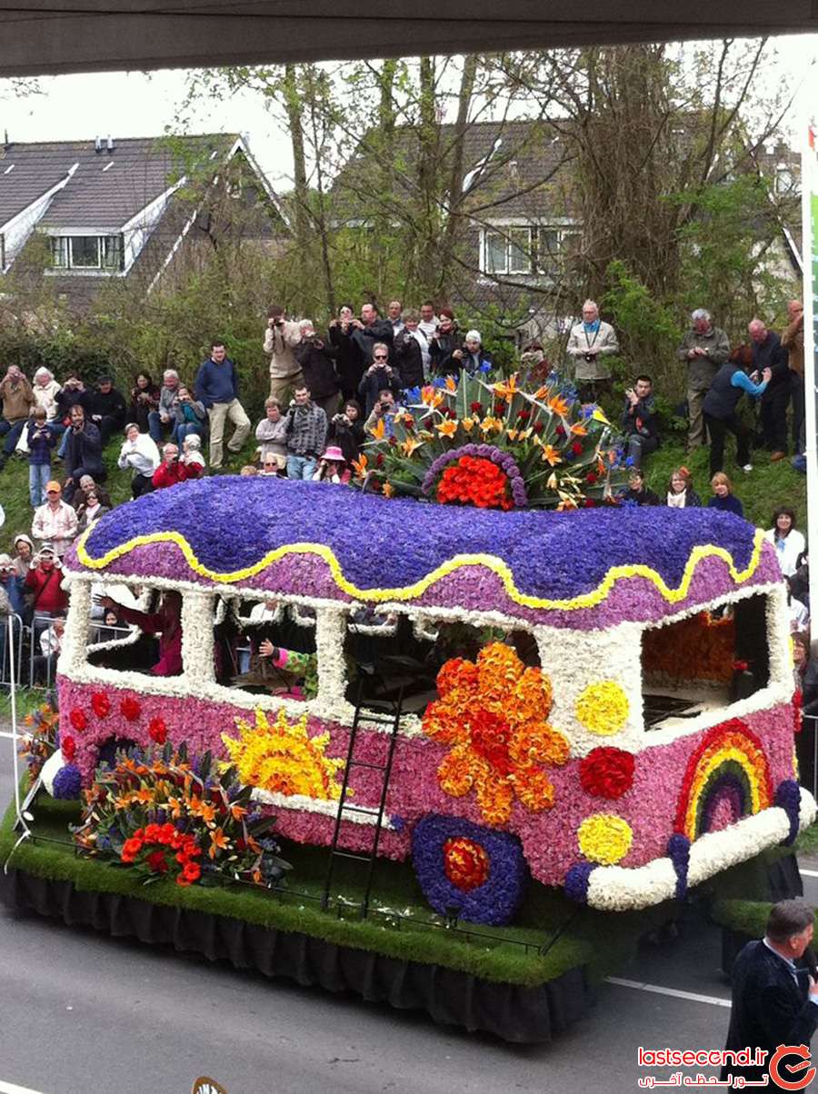 تصاویری زیبا از بزرگترین رژه ی گل در هلند   