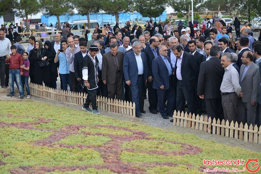  آغاز به کار سومین جشنواره انگور در دهکده ساحلی چی چست   