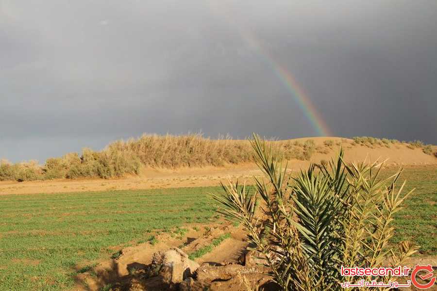  کویر مصر، افسونی که هرگز رهایتان نخواهد کرد   