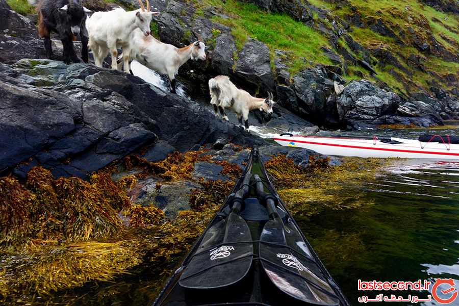 عکس هایی از  فلات نروژ در حال کایاک سواری   